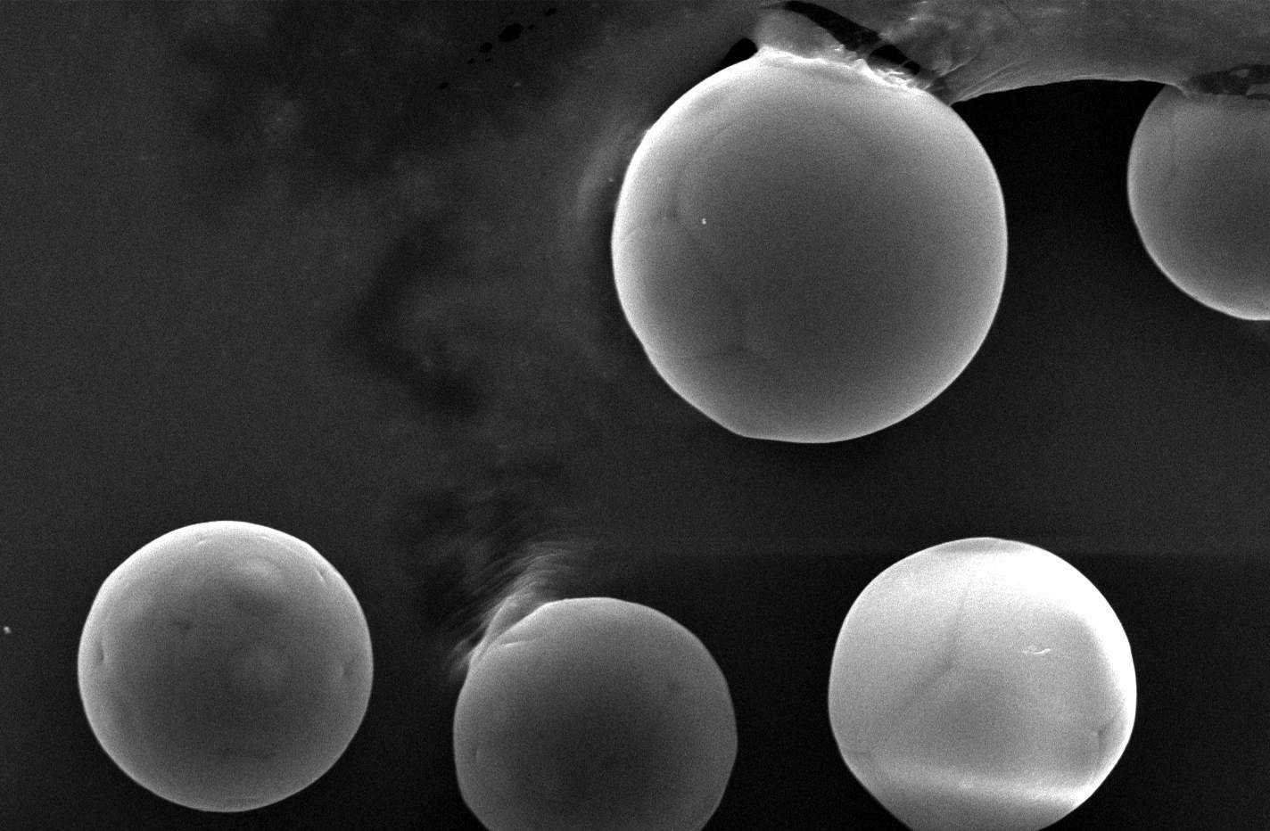 microspheres