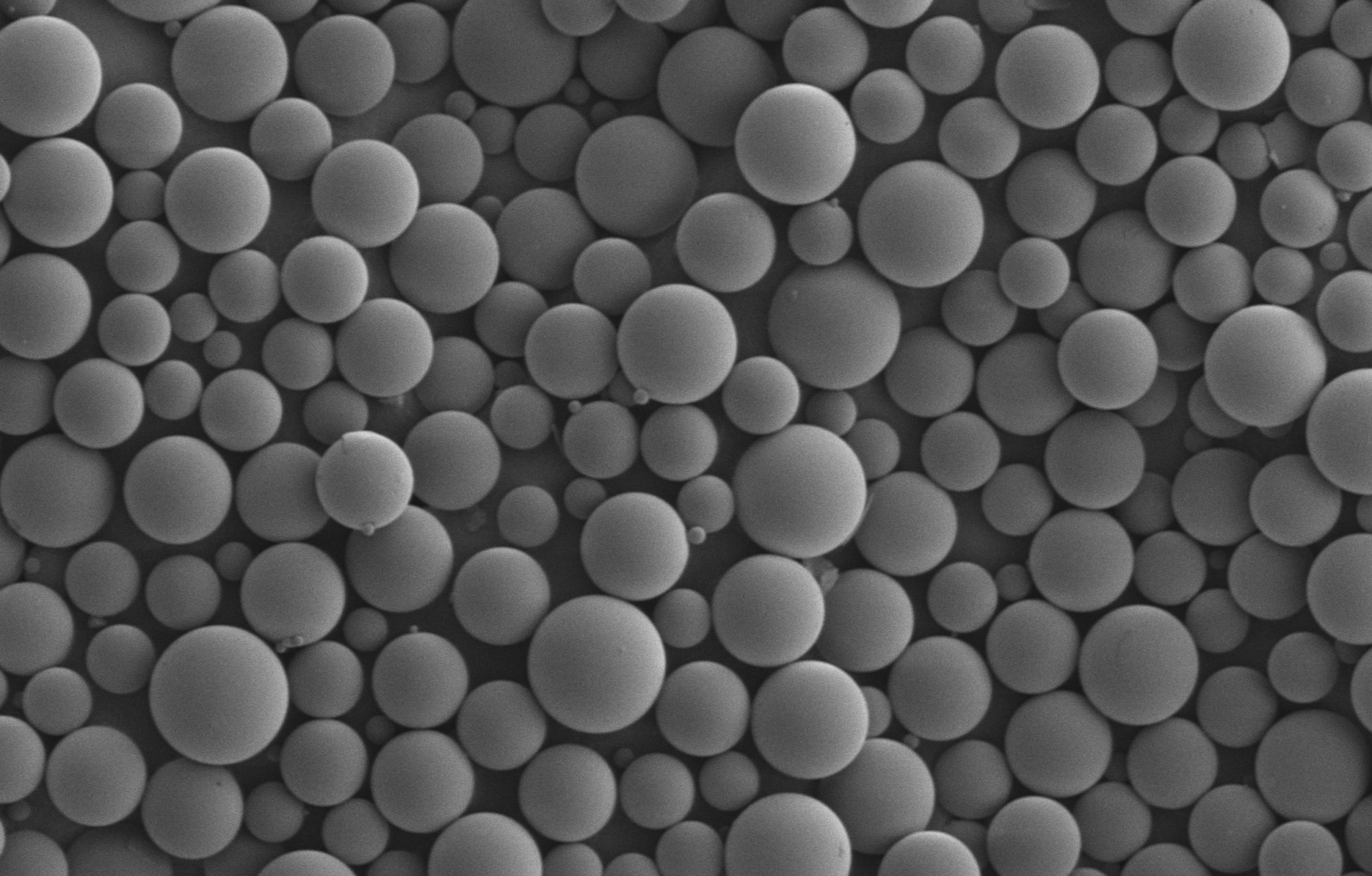 microspheres